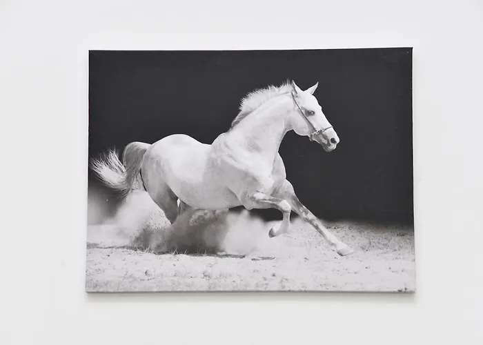 Apartamento La Perla 2 *